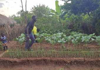 COTA farmer with UNHCR fund support